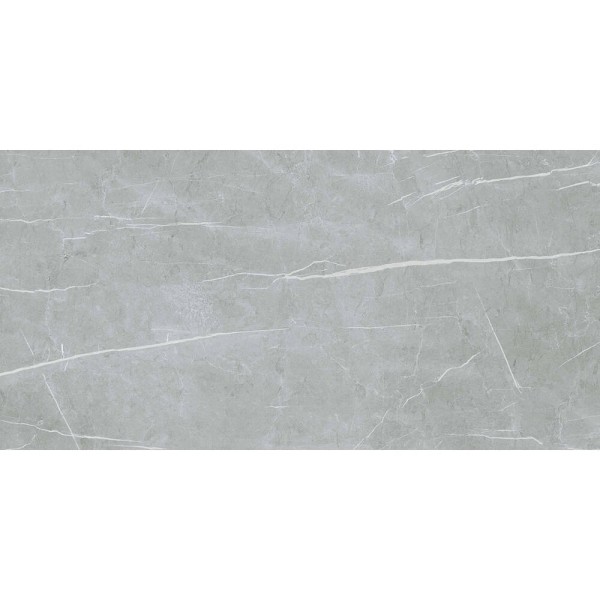 Керамограніт Almera Ceramica (Spain) Alure Grey Satinado Rect 60x120 см