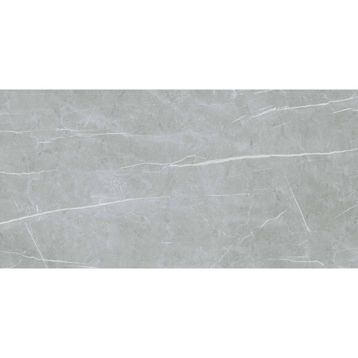 Керамограніт Almera Ceramica (Spain) Alure Grey Satinado Rect 60x120 см
