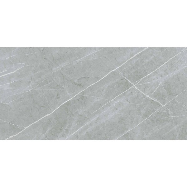 Керамограніт Almera Ceramica (Spain) Alure Grey Satinado Rect 60x120 см