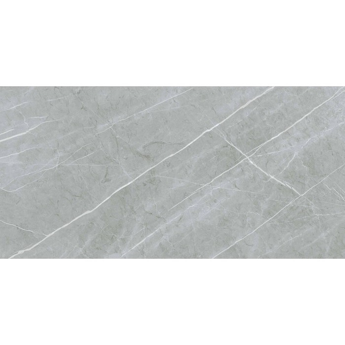 Керамограніт Almera Ceramica (Spain) Alure Grey Satinado Rect 60x120 см