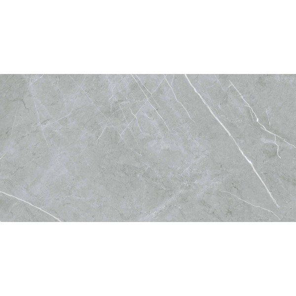 Керамограніт Almera Ceramica (Spain) Alure Grey Satinado Rect 60x120 см
