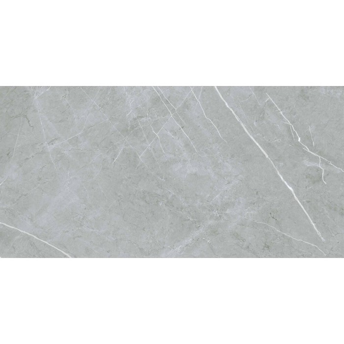 Керамограніт Almera Ceramica (Spain) Alure Grey Satinado Rect 60x120 см