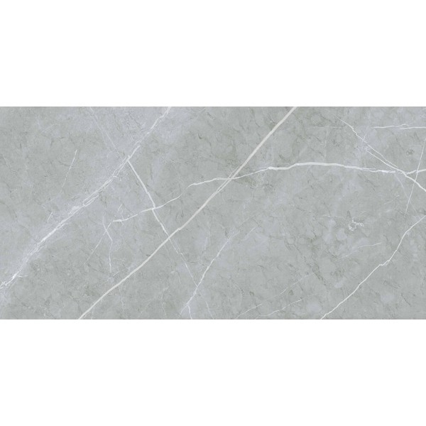 Керамограніт Almera Ceramica (Spain) Alure Grey Satinado Rect 60x120 см