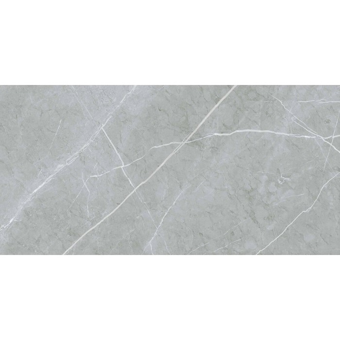 Керамограніт Almera Ceramica (Spain) Alure Grey Satinado Rect 60x120 см