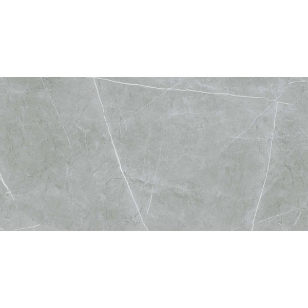Керамограніт Almera Ceramica (Spain) Alure Grey Satinado Rect 60x120 см