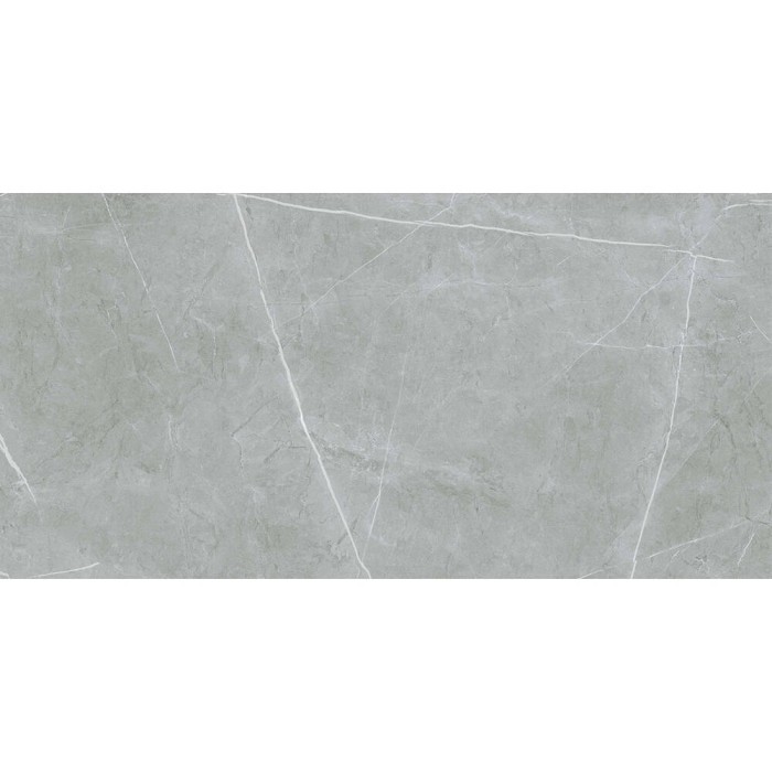 Керамограніт Almera Ceramica (Spain) Alure Grey Satinado Rect 60x120 см