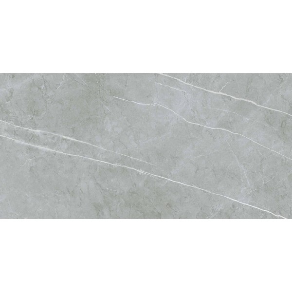 Керамограніт Almera Ceramica (Spain) Alure Grey Satinado Rect 60x120 см
