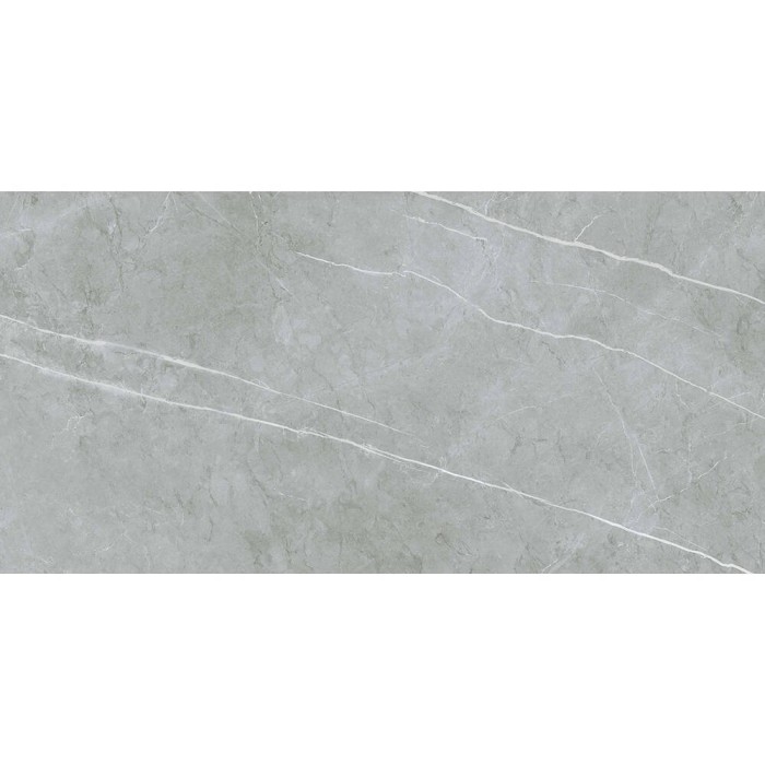 Керамограніт Almera Ceramica (Spain) Alure Grey Satinado Rect 60x120 см