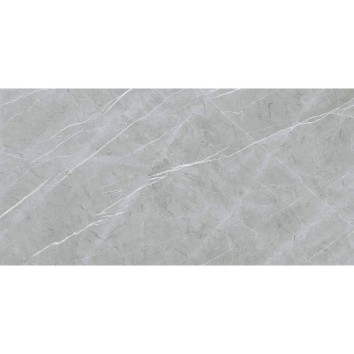Керамограніт Almera Ceramica (Spain) Alure Grey Satinado Rect 60x120 см