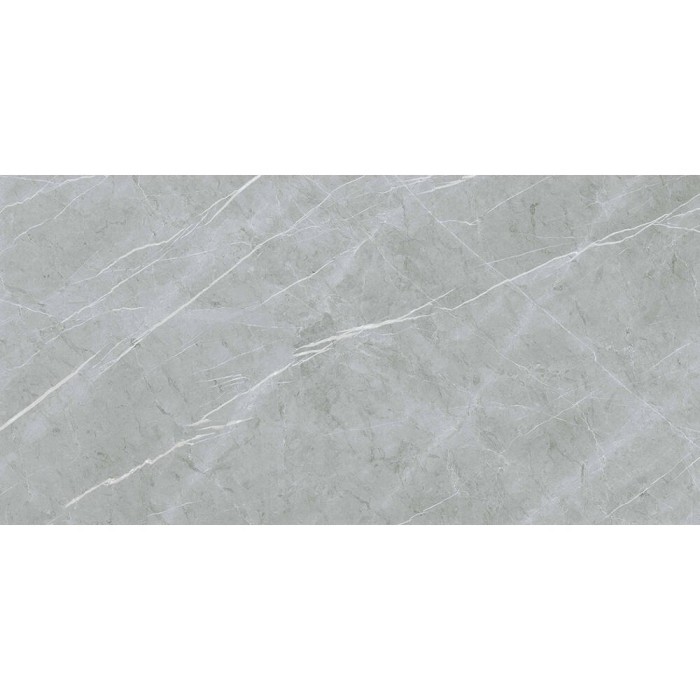 Керамограніт Almera Ceramica (Spain) Alure Grey Satinado Rect 60x120 см