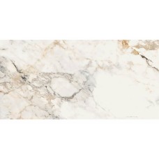 Керамограніт La Faenza Aesthetica AE PAO6 12 LP 60х120 см