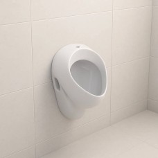 Пісуар підвісний Geberit Felix 502.885.00.1 білий глянець