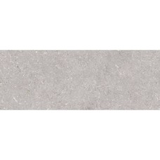 Керамограніт Porcelanosa Coral Acero 45x120 см
