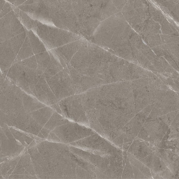 Керамограніт Ceramica Deseo CK6Y4179PB Calvo 60х60 см