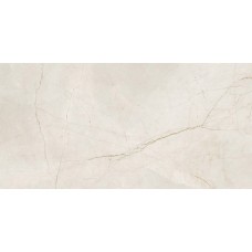 Керамограніт Flaviker Spr.Memor.Pulpis Ivo.Ant R 60x120 см