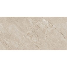 Керамограніт Almera Ceramica-2 Euri Mist Expo 60х120 см