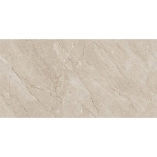Керамограніт Almera Ceramica-2 Euri Mist Expo 60х120 см