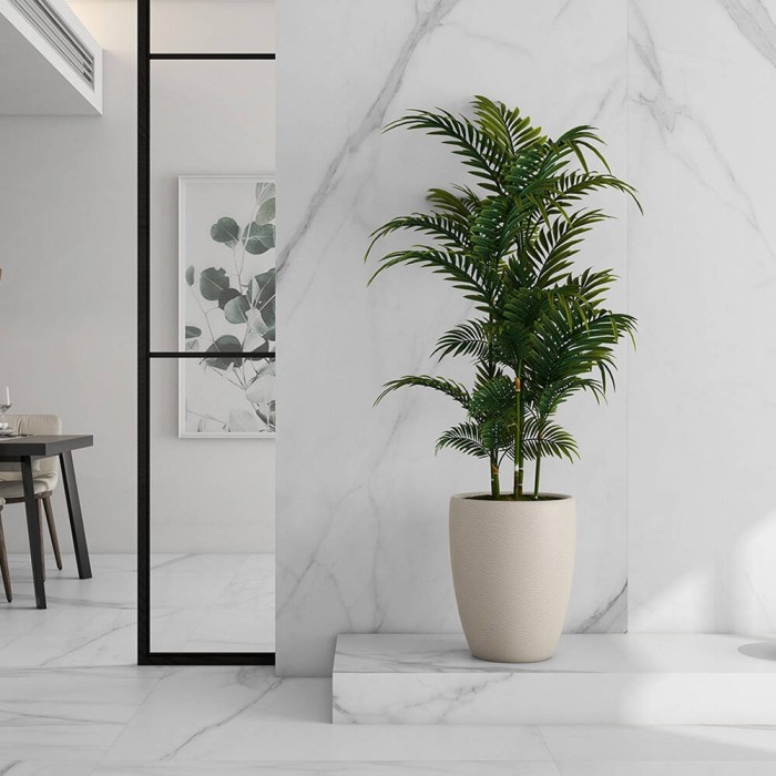 Керамограніт Argenta Ceramica Tholos White Natural 120x260 см