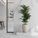 Керамограніт Argenta Ceramica Tholos White Natural 120x260 см