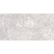 Керамограніт Almera Ceramica (Spain) Pantheon Ev Gri Cr Mt 60x120 см
