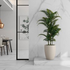 Керамограніт Argenta Tholos White Polished 120x260 см