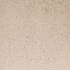 Керамограніт Porcelanosa Dorcia Bone L 80X80(A) 100348054 80х80 см