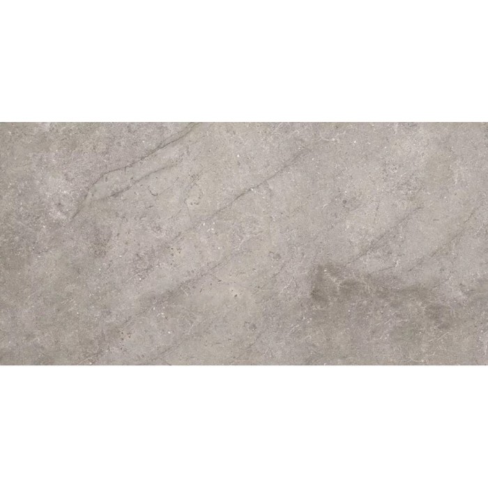 Керамограніт New Tiles Montblanc Gris C-1 60x120 см