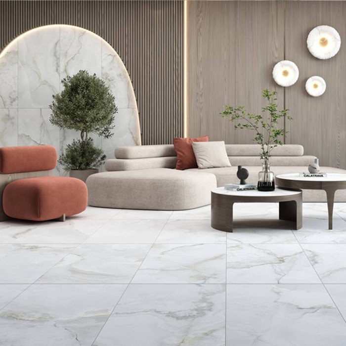Керамогранiт Almera Ceramica (Spain) N.Basil white matt 60x120 см