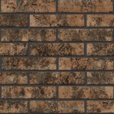 Керамограніт Golden Tile Westminster Помаранчевий 24Р010 6х25 см