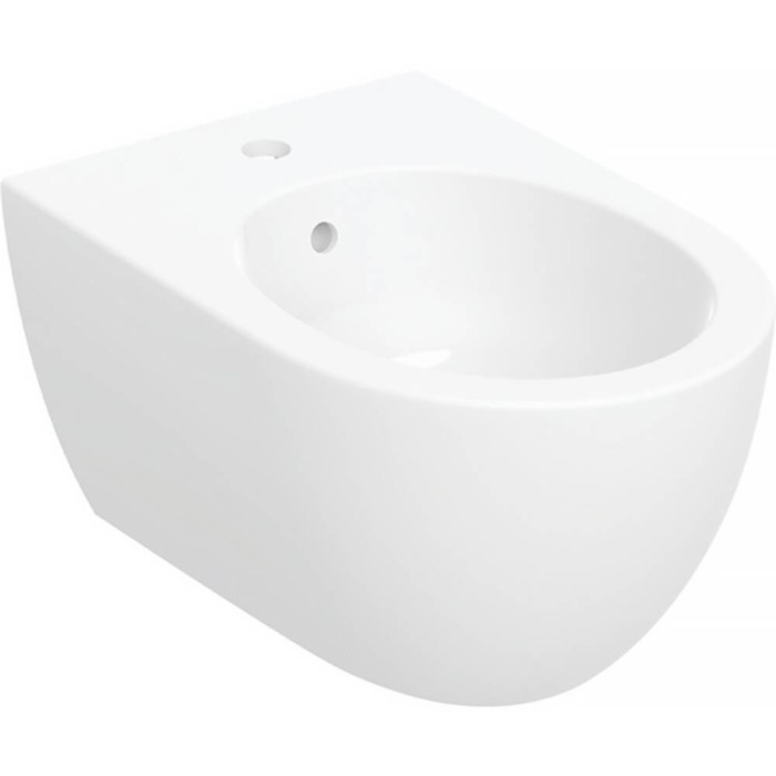 Біде підвісне Geberit Acanto 502.825.00.1