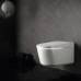 Унітаз-біде підвісний Grohe Sensia Pro 36508SH0 для змивних бачків прихованого монтажу