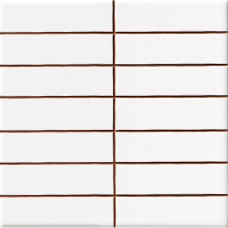 Плитка Ceramica Deseo Blanco brillo 2.5*10 20х20 см