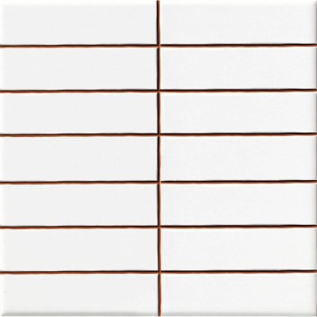 Плитка Ceramica Deseo Blanco brillo 2.5*10 20х20 см