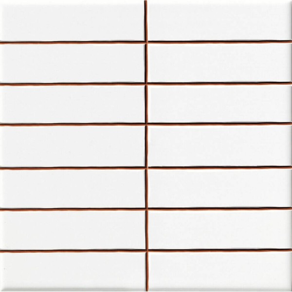 Плитка Ceramica Deseo Blanco brillo 2.5*10 20х20 см