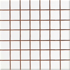 Плитка Ceramica Deseo Blanco brillo 2.5*2.5 20х20 см