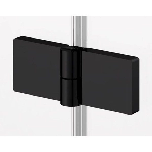 Душові двері з фіксованою стінкою Ronal Annea BlackLine AN13WD12000607 120х200 см розпашні праві, профіль чорний матовий, прозоре скло