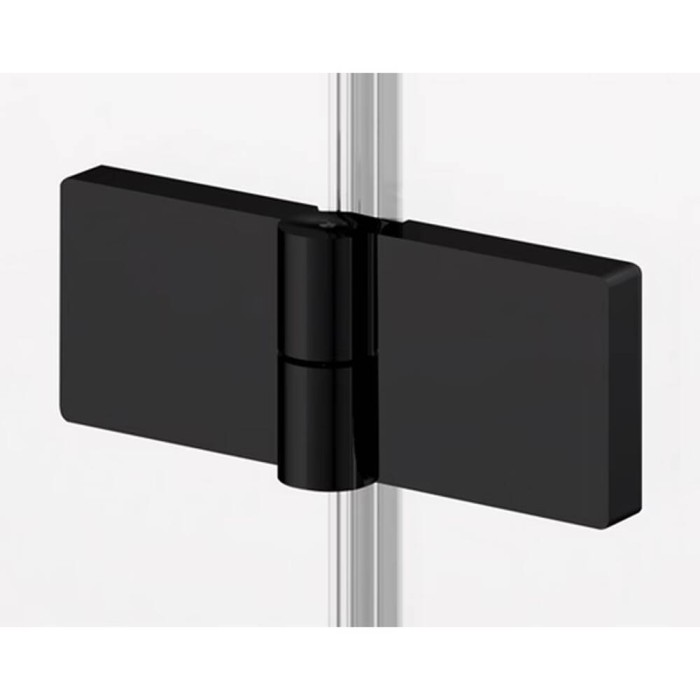 Душові двері з фіксованою стінкою Ronal Annea BlackLine AN13WD12000607 120х200 см розпашні праві, профіль чорний матовий, прозоре скло