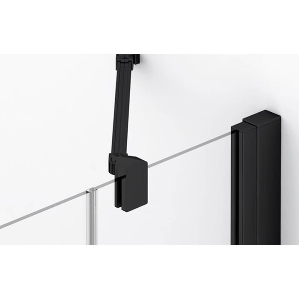Душові двері з фіксованою стінкою Ronal Annea BlackLine AN13WD12000607 120х200 см розпашні праві, профіль чорний матовий, прозоре скло