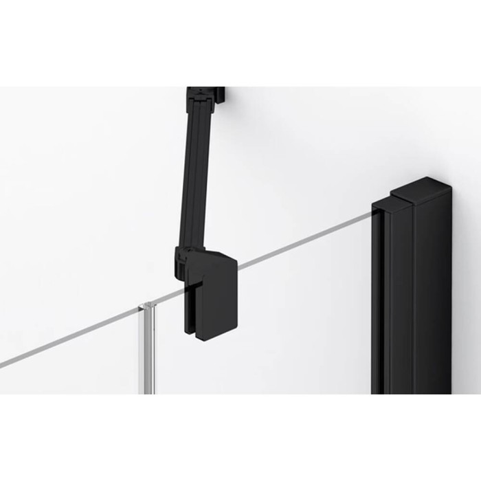 Душові двері з фіксованою стінкою Ronal Annea BlackLine AN13WD12000607 120х200 см розпашні праві, профіль чорний матовий, прозоре скло