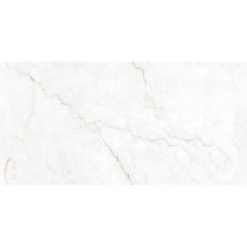 Керамограніт Ceramica Deseo Firro Classic *** 60x120 см