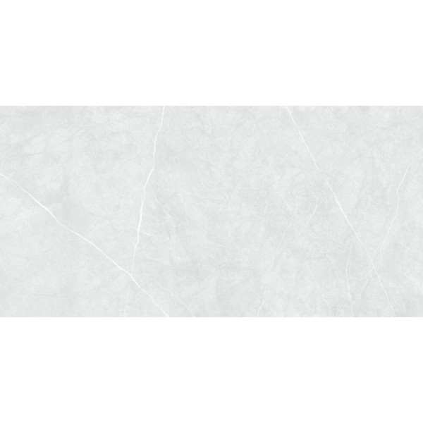 Керамограніт Ceramica Deseo Silver Veil світло-сірий SIG980 60x120 см