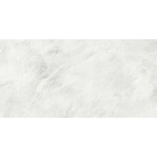 Керамограніт APE Alexandria White Pol 60x120 см
