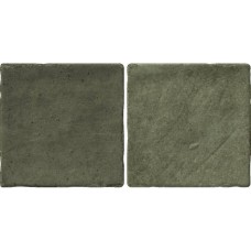Керамограніт Almera Ceramica (Spain) Bright Salvia 10x20 см