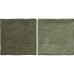 Керамограніт Almera Ceramica (Spain) Bright Salvia 10x20 см