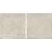 Керамограніт Almera Ceramica (Spain) Bright Corda 10x20 см