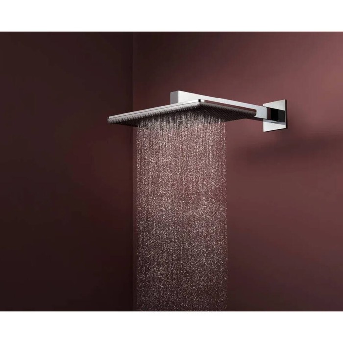 Верхній душ Hansgrohe Raindance Alive Q 24530000 210/340 хром