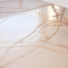 Керамограніт Flaviker Supreme Hedonism Golden Spider Lux 3D R 0017238 60x120 см