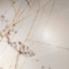 Керамограніт Flaviker Supreme Hedonism Golden Spider Lux 3D R 0017238 60x120 см