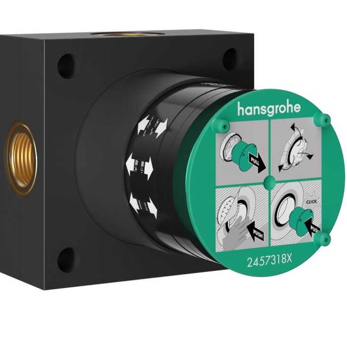 Внутрішня частина верхнього душу Hansgrohe Raindance Alive 24573180 2jet
