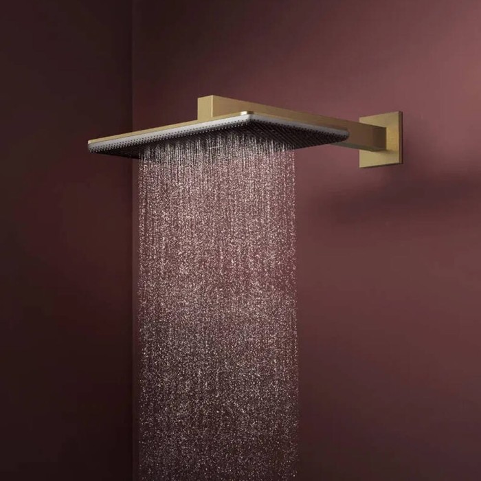 Верхній душ Hansgrohe Raindance Alive Q 24530140 210/340 1jet матова бронза